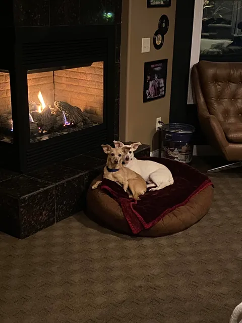 Surely these ears qualify as rare