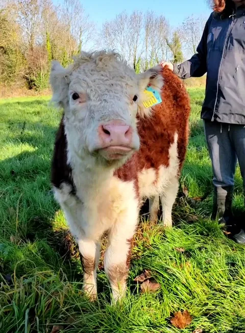[OC] Something tells me that Missy really enjoys getting her tail scratched!