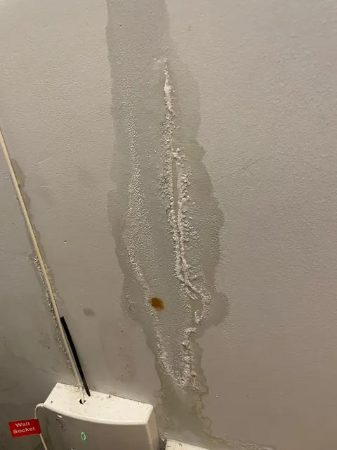 Anyone know what this it?