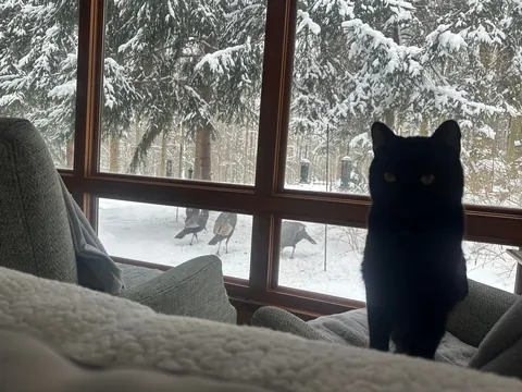 Winter game warden reporting for duty!