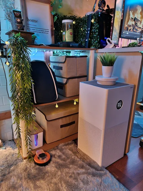 My Small 3-in-1 Room (Lounge/Chill, Workstation, &amp; Bed Area)