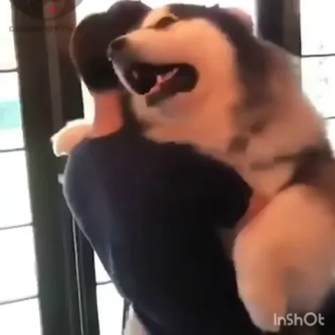 You're never too big for a hug