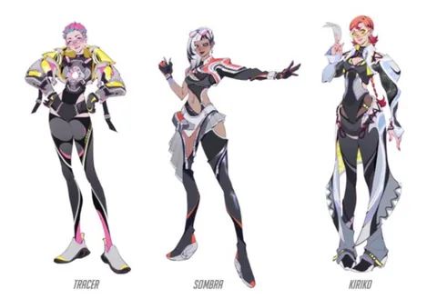 Overwatch Survey Skin