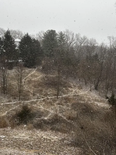 🔥Snow reveals animal paths behind my house.