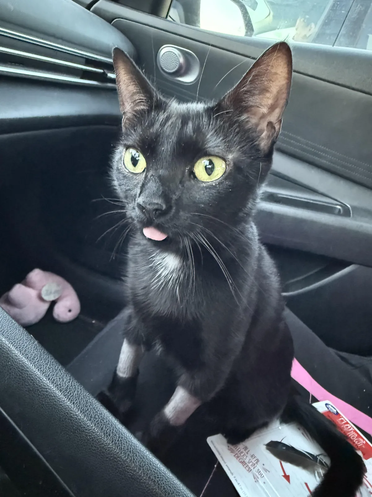 baby void after her procedure