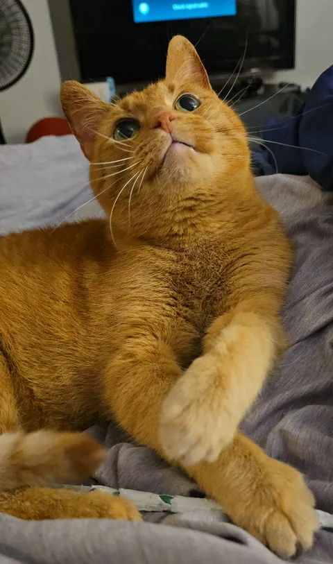 My boy is so handsome. 