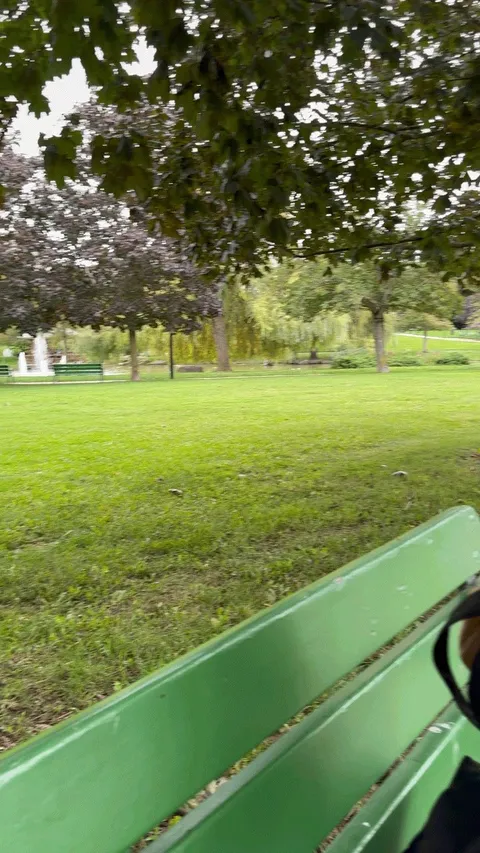 Flashing in the park while everyone enjoys their walk