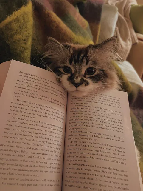 How can you read when I’m right here?