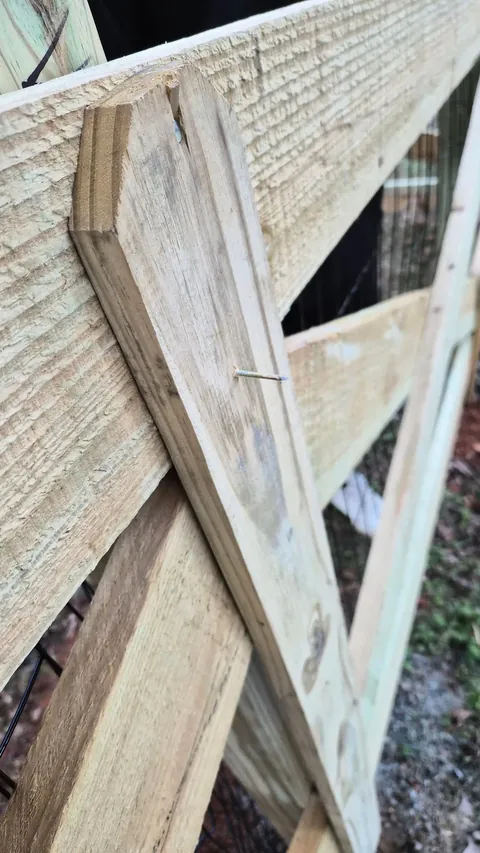 Went with the "under dog" company to build a fence and this is what I'm left with