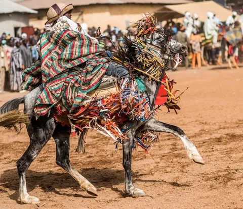 Fete de Gaani, Nikki, Benin. Really something to see!