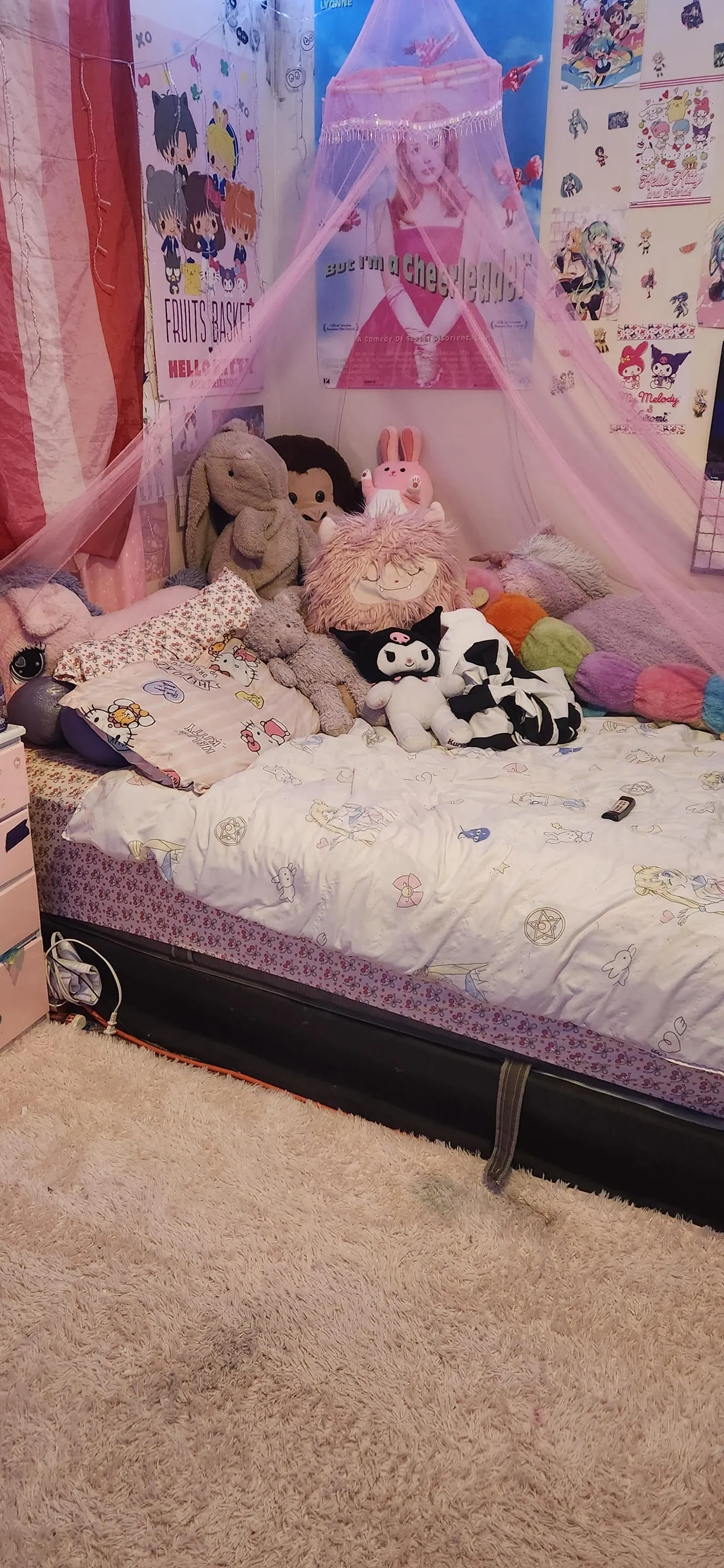 I did it! I finished cleaning my room!