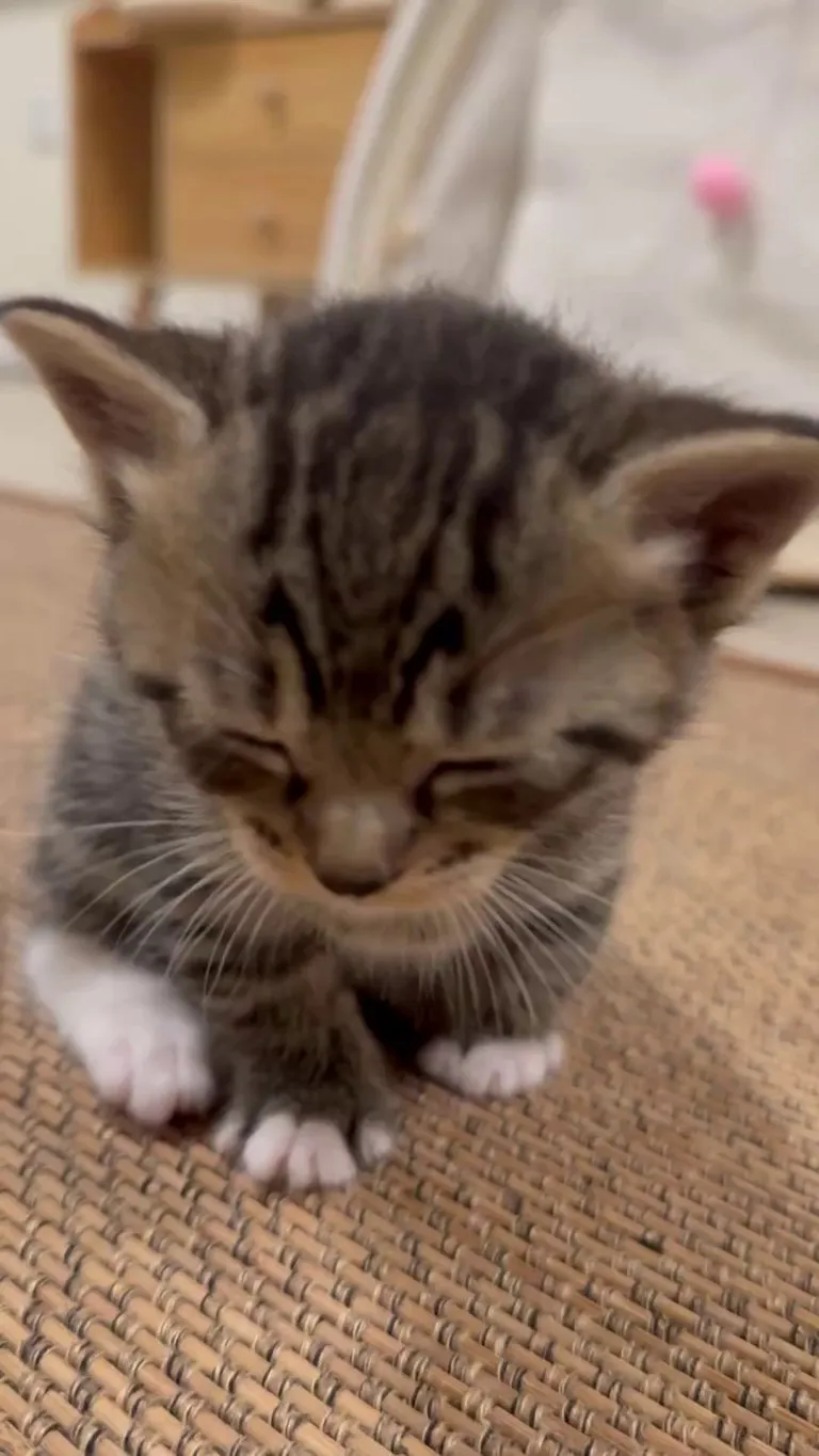 Playtime is hard 😴