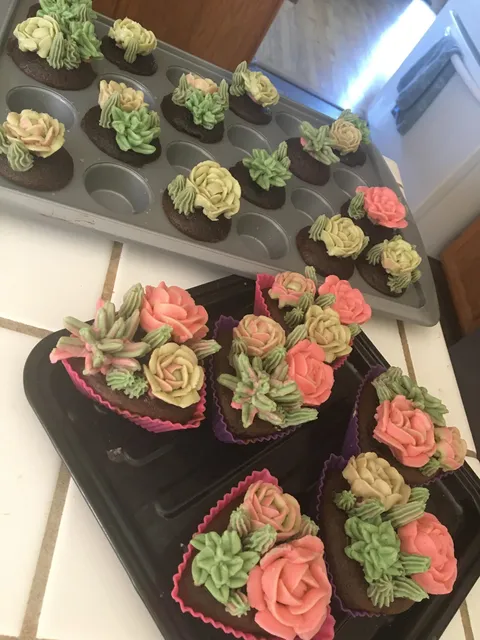 [Homemade] Succulent Cupcakes with Buttercream frosting