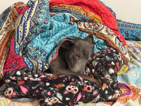 My momma says that I’m the babiest of all the baby boys.