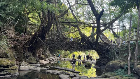Scenes from my travels across India 🇮🇳