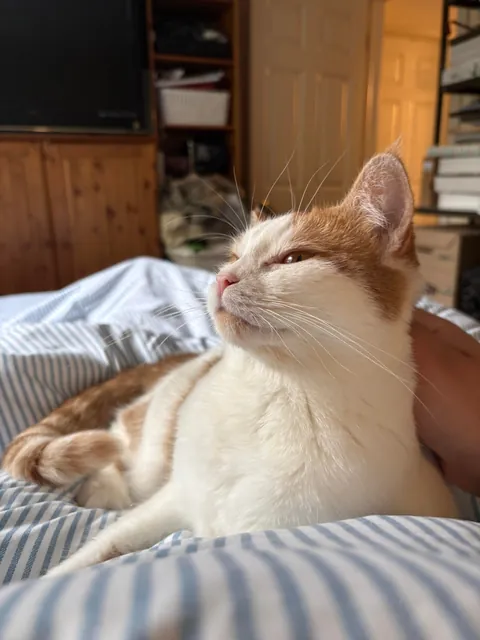 Can you believe that I found her in the garbage?