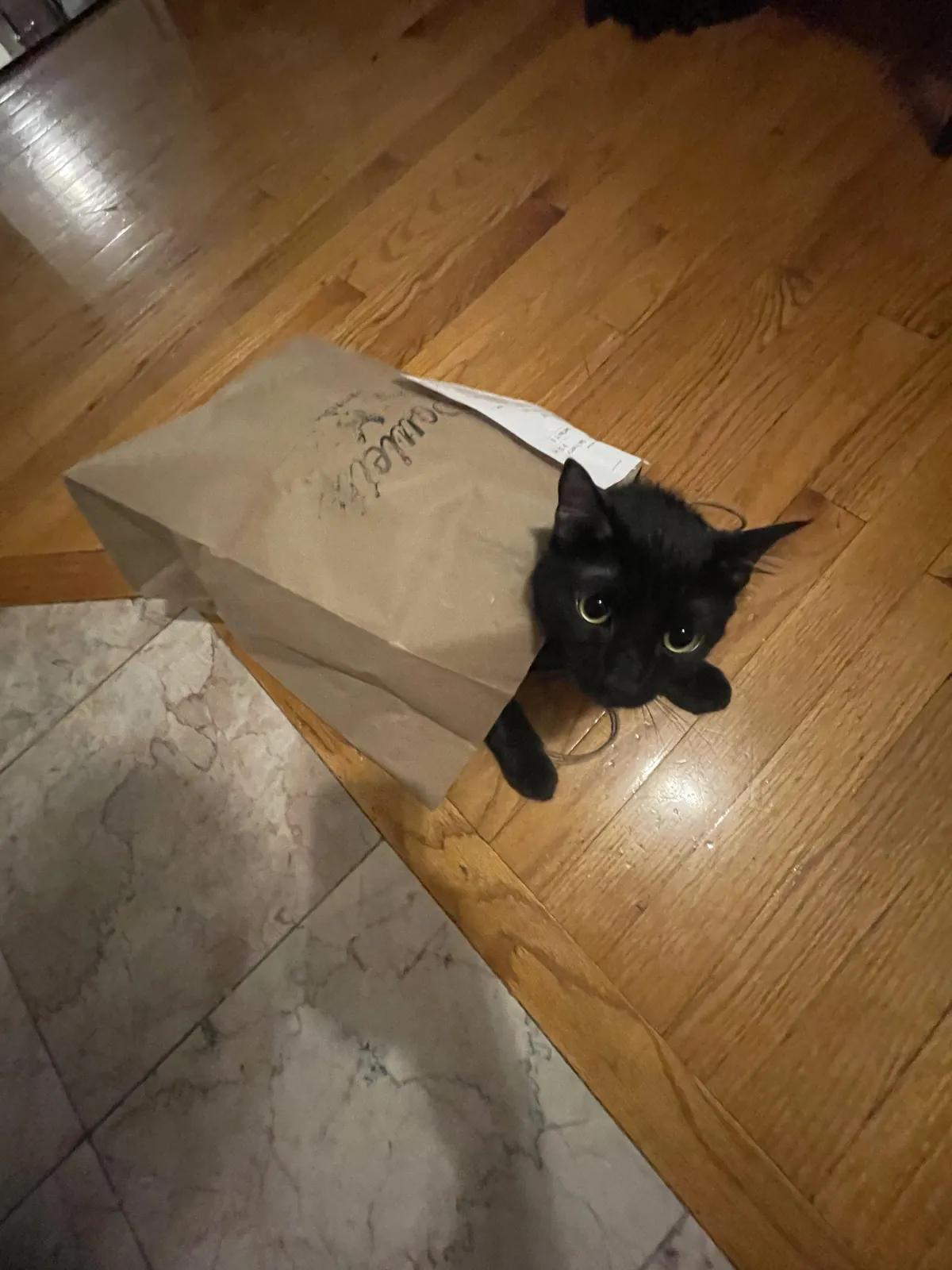 Lil chickenbutt baby