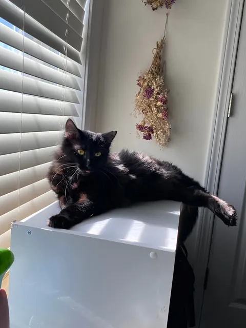 Before and After: Happy First Birthday Maevis!