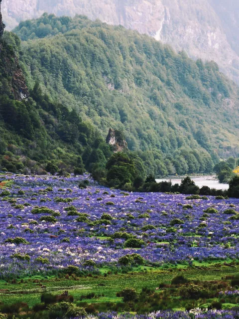 10 days in Carretera Austral, Chile.