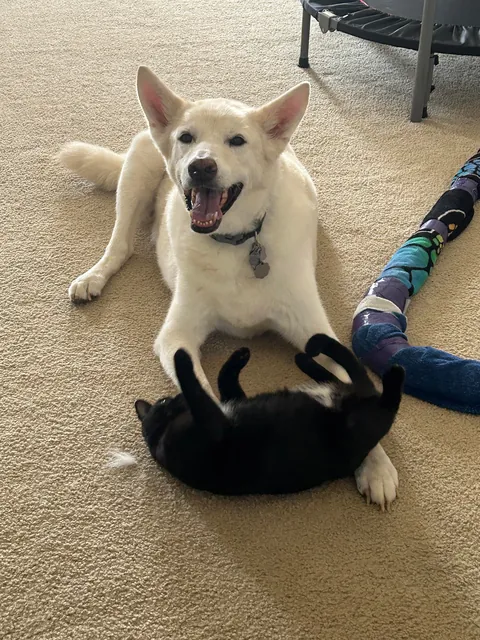 My sweet girl made me tear up this morning….