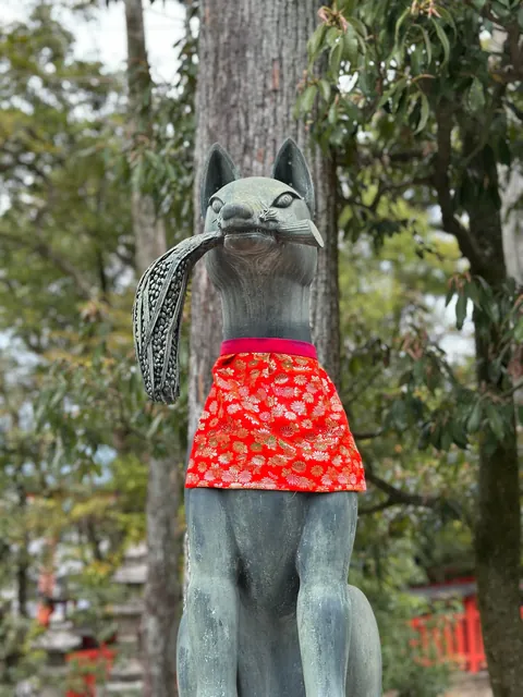 15 days solo trip to Japan. March- April 2025.