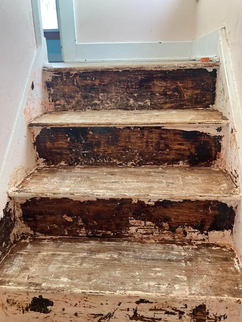 Yall I’m tired of stripping paint. How do I continue?