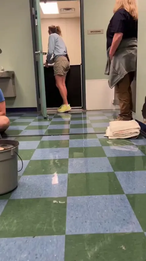 I think I would cry if a penguin chose me