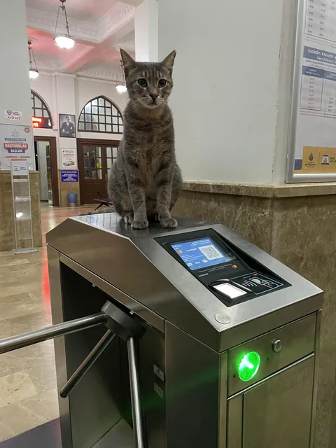 Ferry security officer on duty