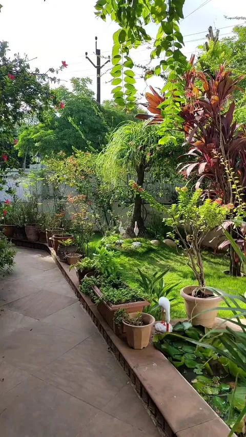 A pleasant morning in my garden. 