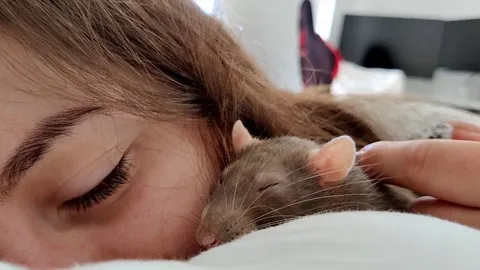 Happy rats vibrate their eyes (boggle)