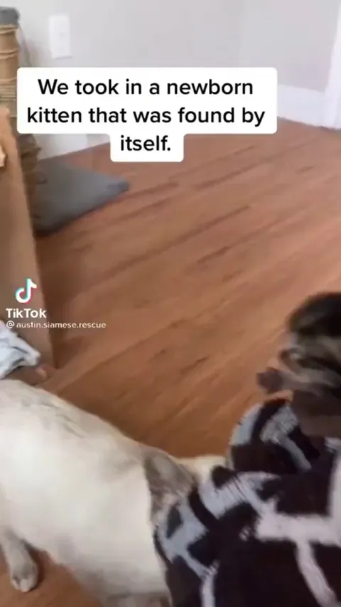 I’ll be your mom now