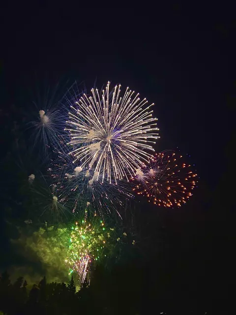 Happy Canada Day 🇨🇦❤️🤍 [OC]