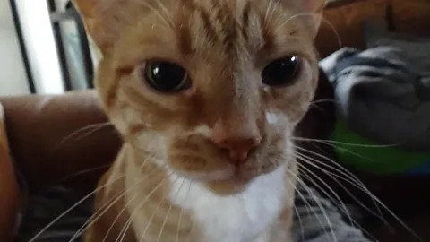 My buddy passed this morning.