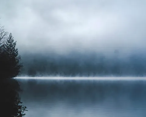 Forcing myself to take photos everyday, here is my favourite from today. Opinions on the [Color] [Style] &amp; [Composition] please!