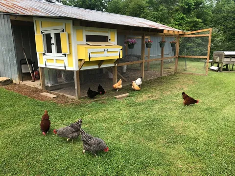 My Wife's Raised Bed Garden Over the Years