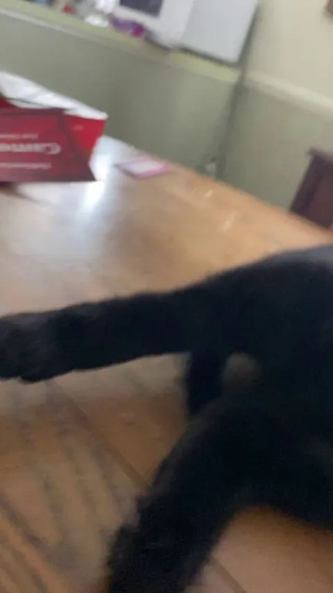 Someone doesn’t want me to go to work today