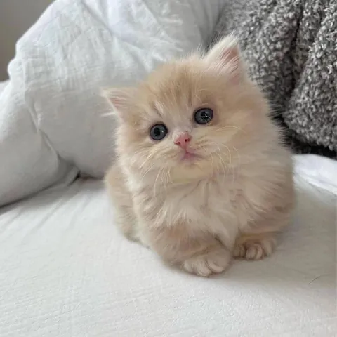 One cute photo a day, keeps the sad away