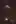 M16 and M17 in SHO