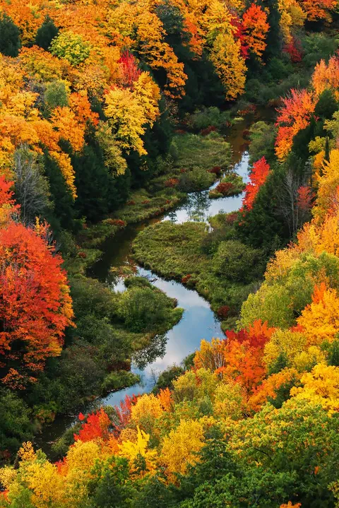 One of the best autumn displays I have seen, 12 years ago in the Porcupine Mountains of Michigan [OC] [854 x 1280]