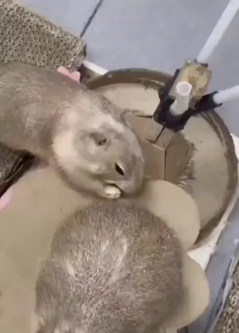 Just witnessed the most genuine apology ever. 😂