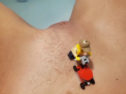 Temporarily down due to scheduled maintenance (f)