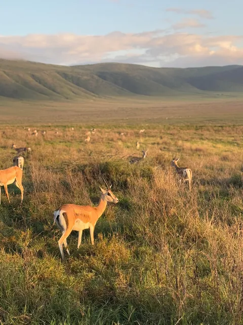 2 weeks of a dream in Tanzania