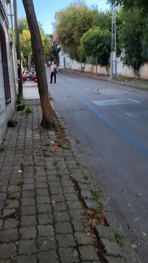 my first trip to Istanbul