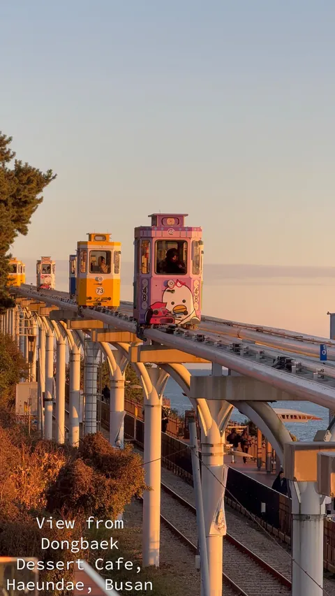 South Korea was amazing. It’s often overlooked compared to Japan.