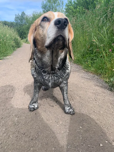 Best decision I ever made! (Poppy) 😉