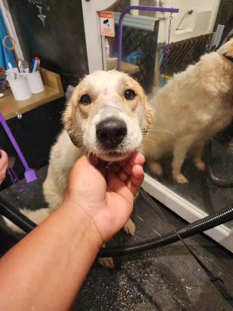 She doesn't like getting a bath, but she looks cute during it