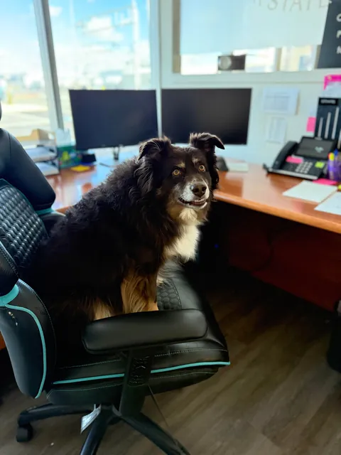 I took my girl to work yesterday…