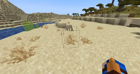 the desert desperately needs a sand dune biome, to contrast with the grassy new desert
