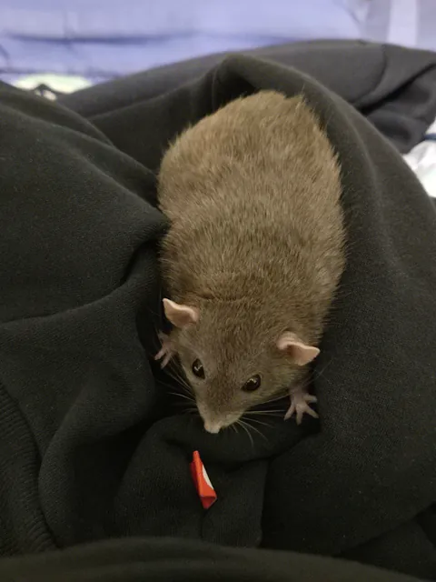 WHY IS JIMILY SO PHOTOGENIC