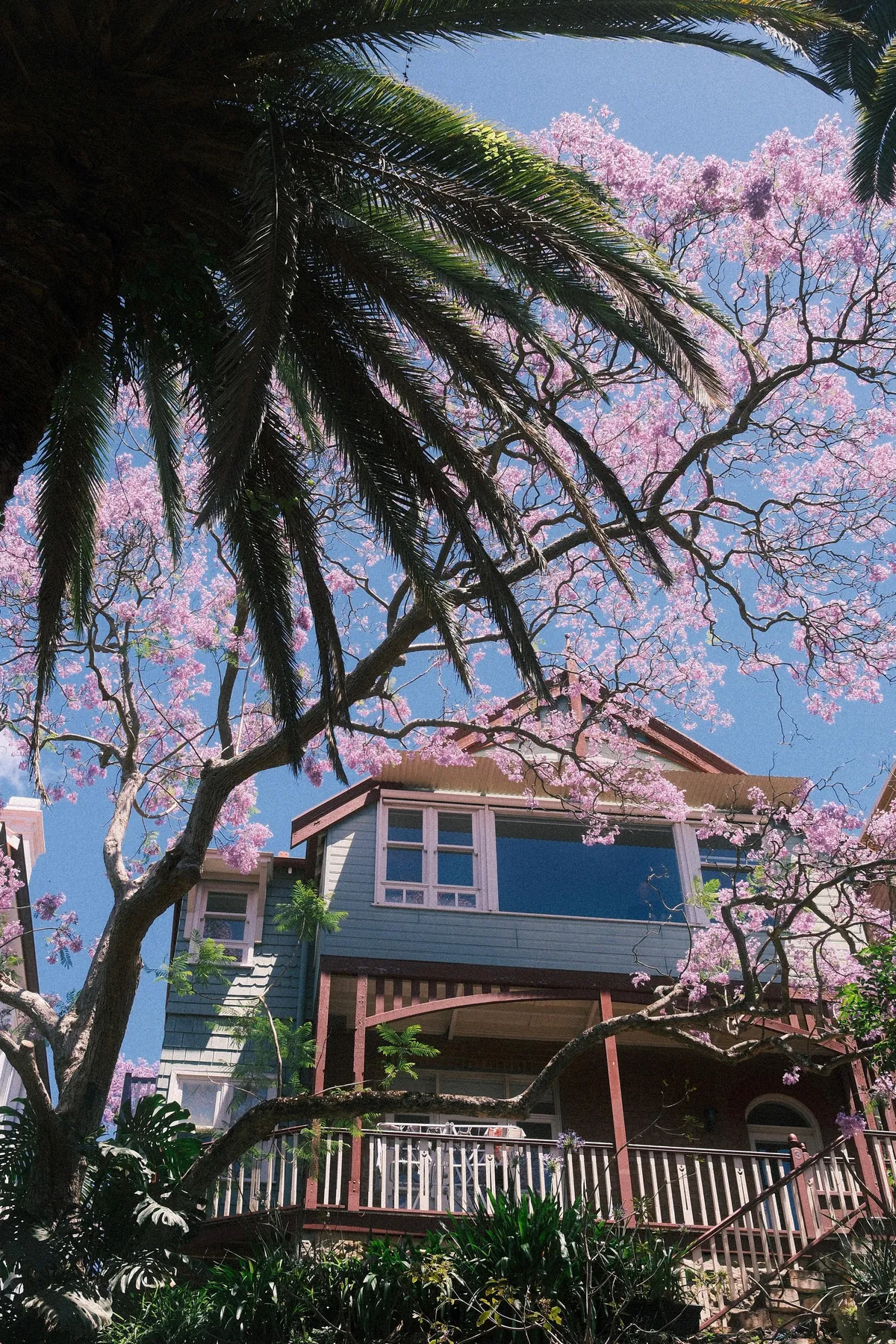 Our first week in Sydney